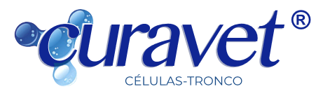 logo -curavet